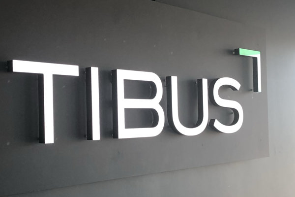 Tibus
