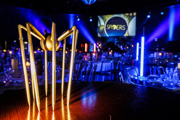 Spider Awards